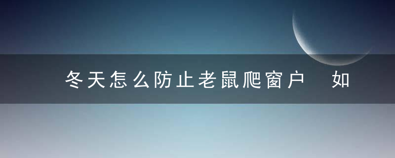 冬天怎么防止老鼠爬窗户 如何消灭老鼠